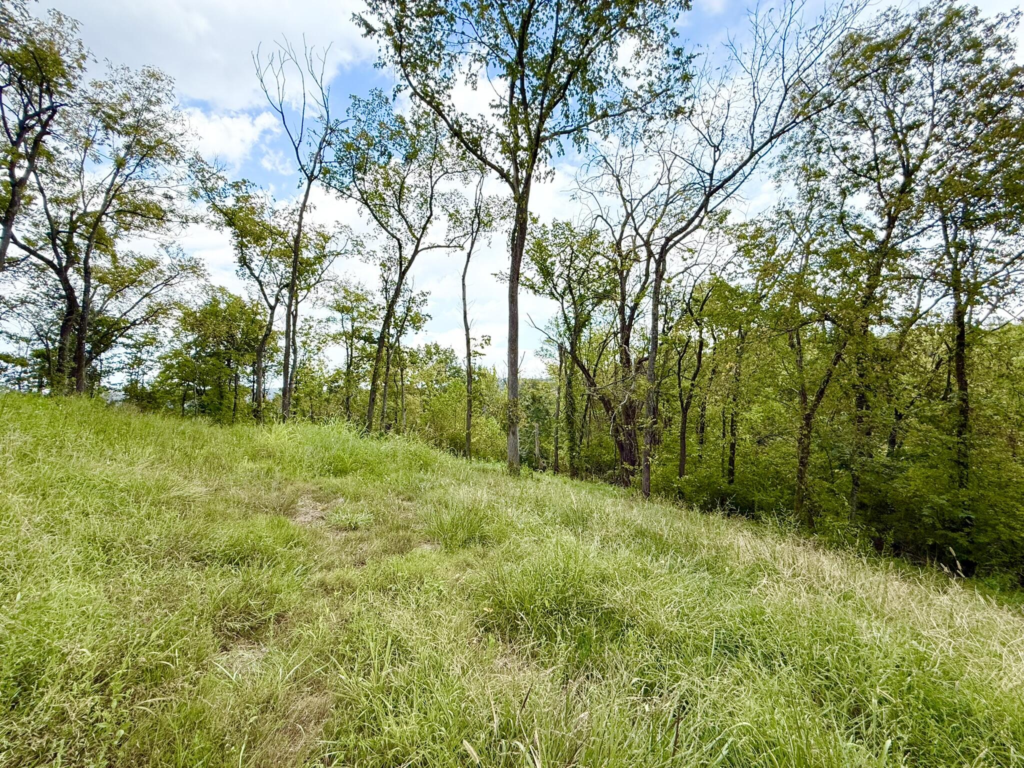 504 Shagbark Trail