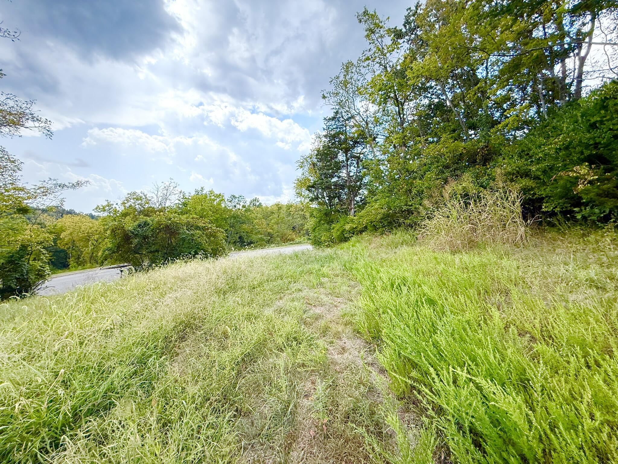 504 Shagbark Trail