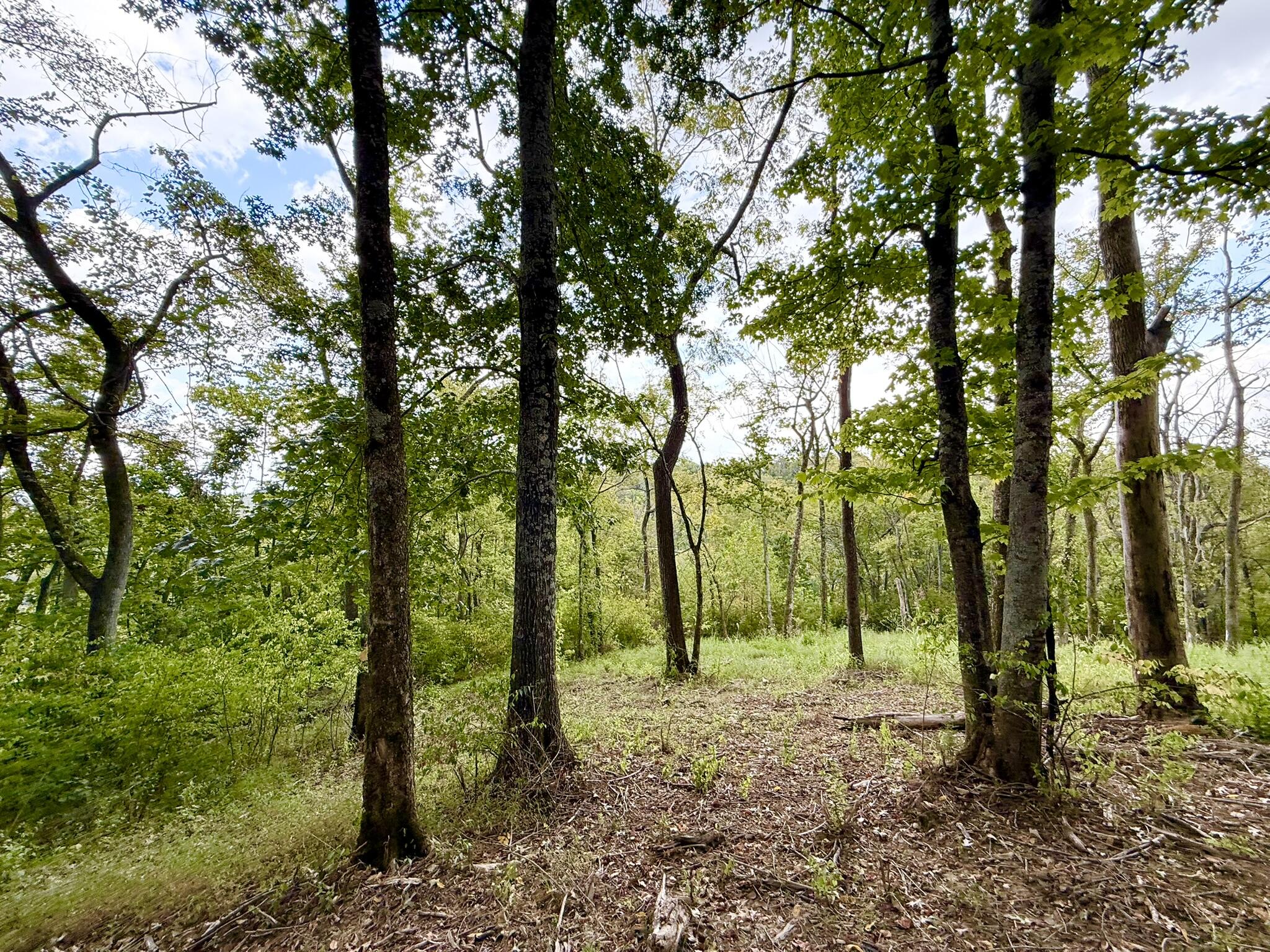 504 Shagbark Trail
