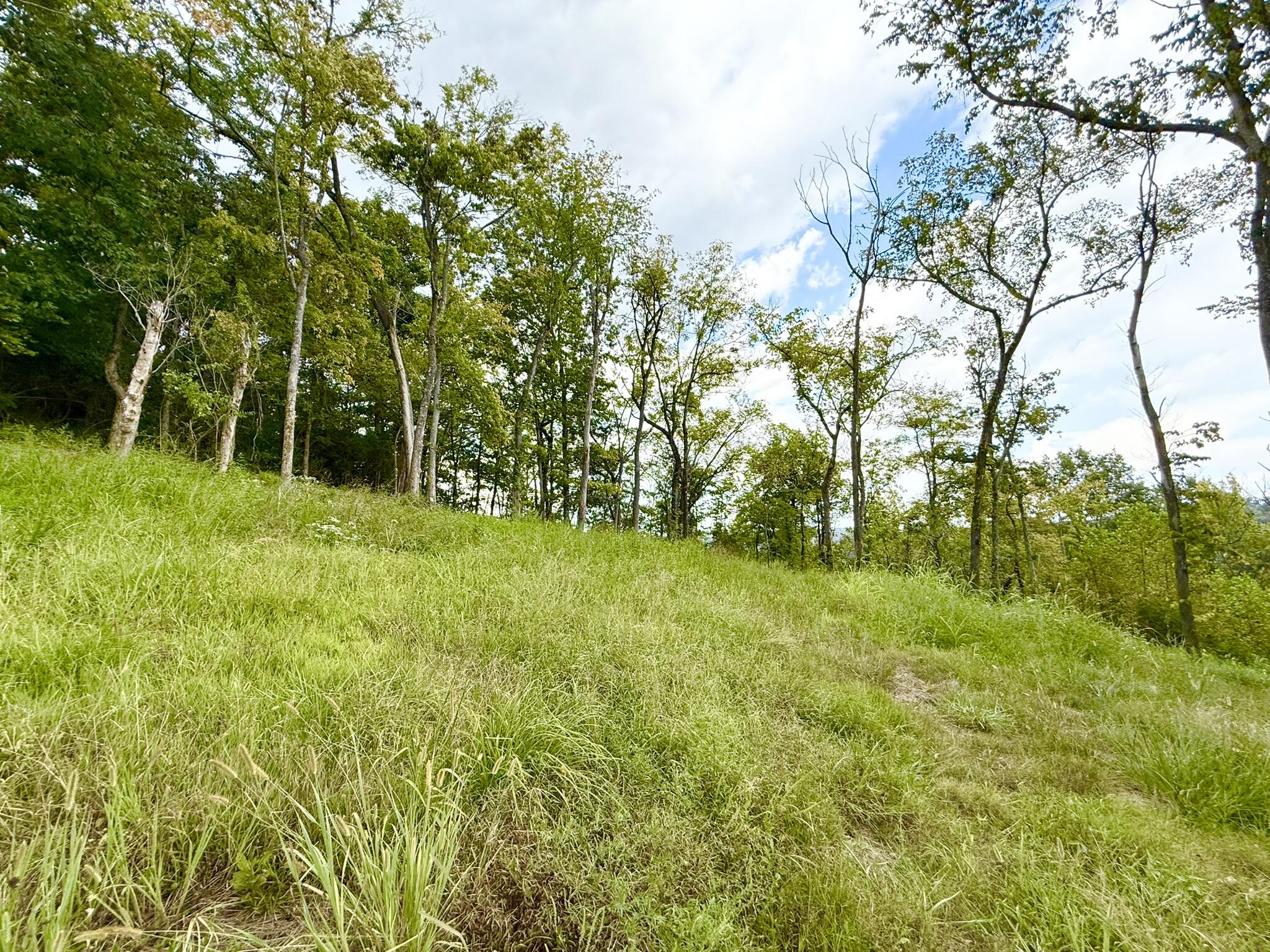 504 Shagbark Trail