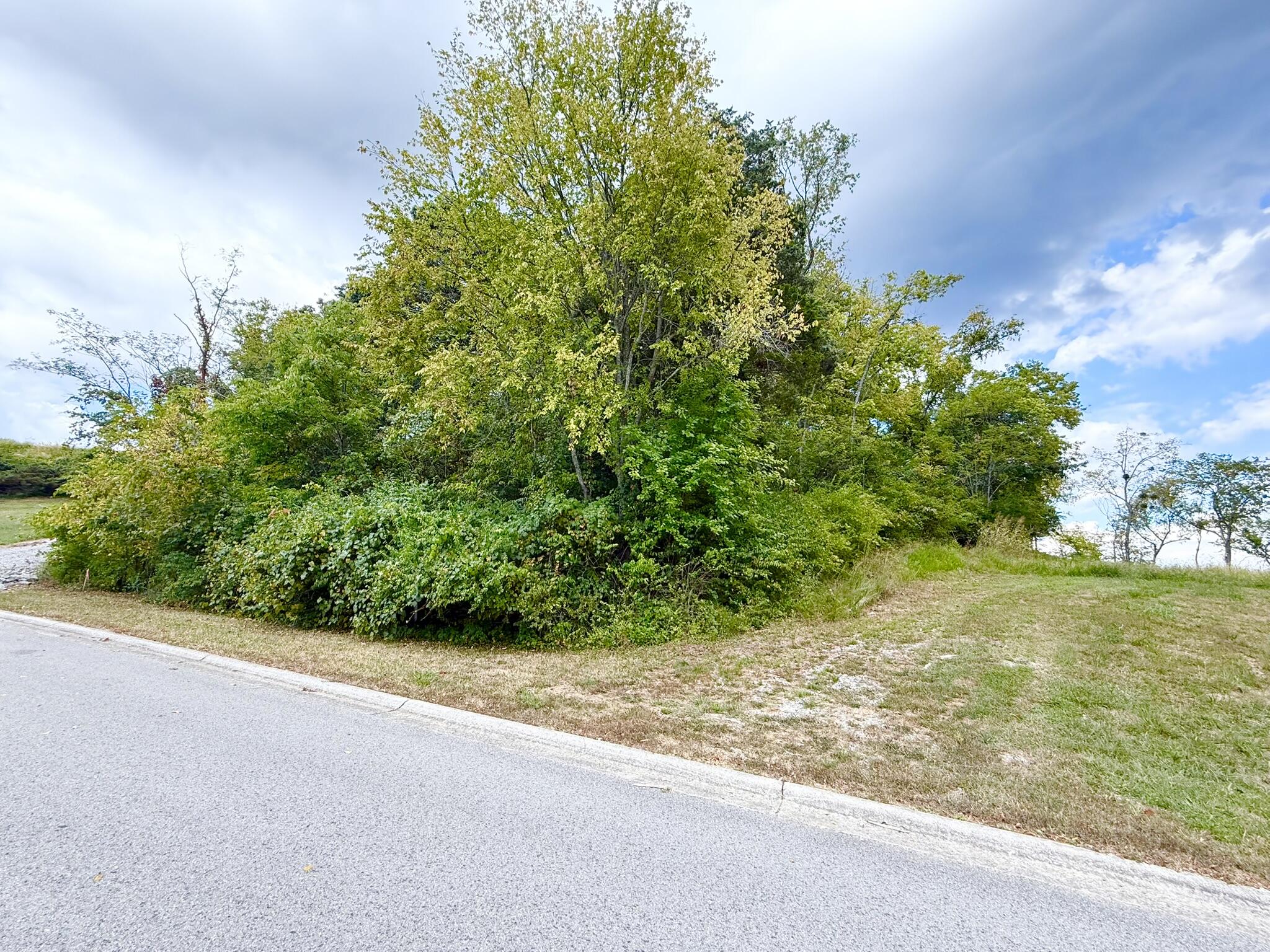 504 Shagbark Trail