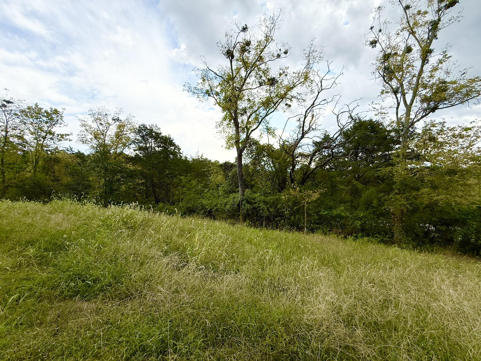 504 Shagbark Trail
