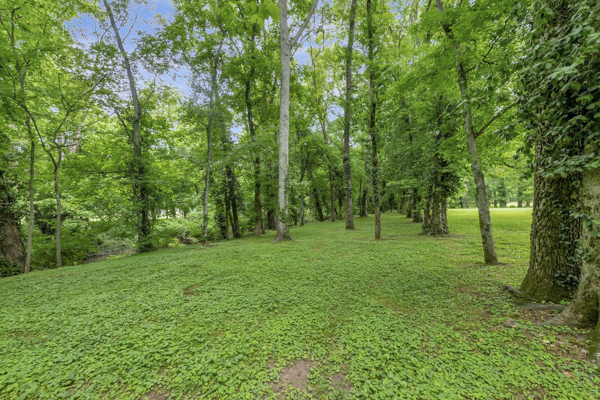 6353 Panorama Dr