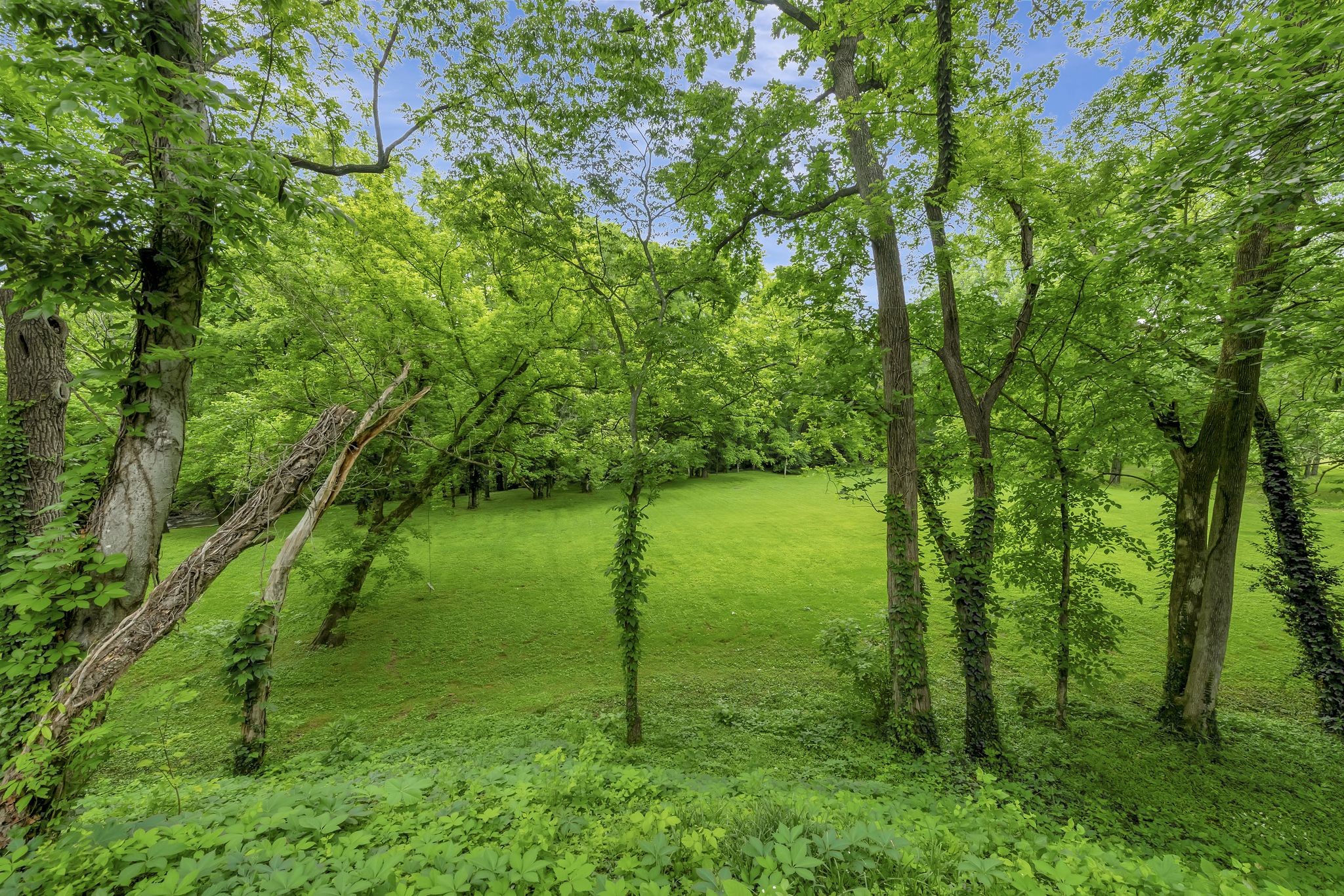 6353 Panorama Dr