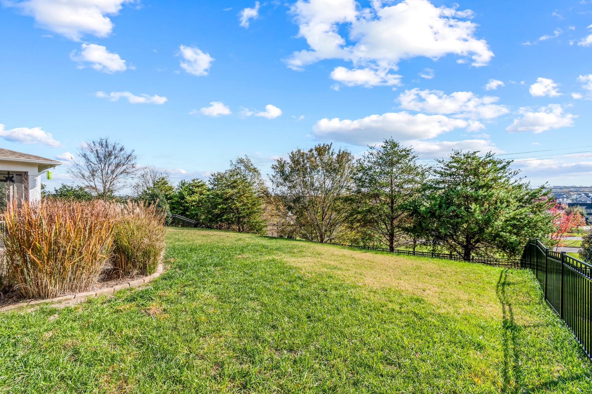 342 Finnhorse Ln