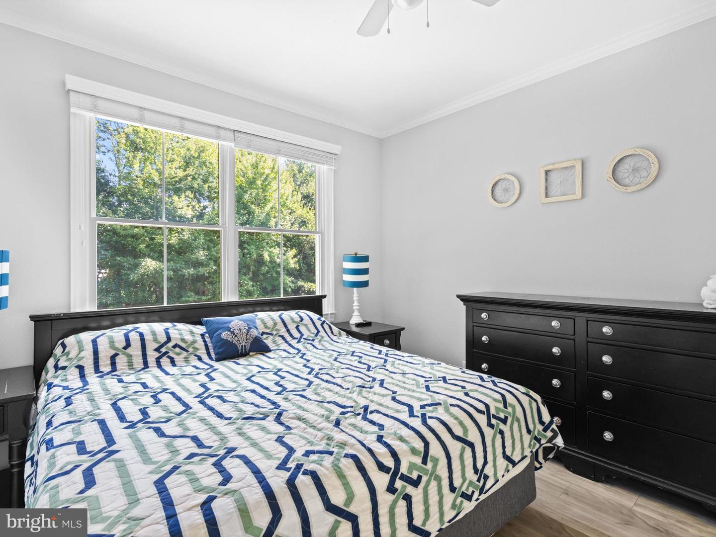 31469 Forsythia Dr