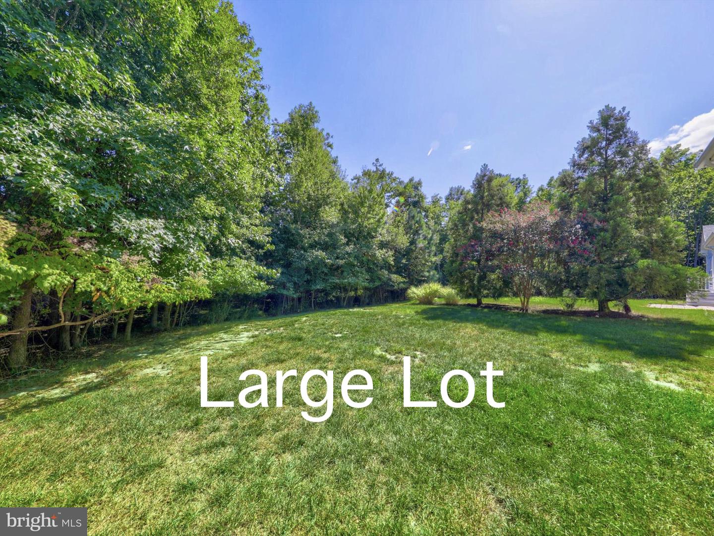 31469 Forsythia Dr