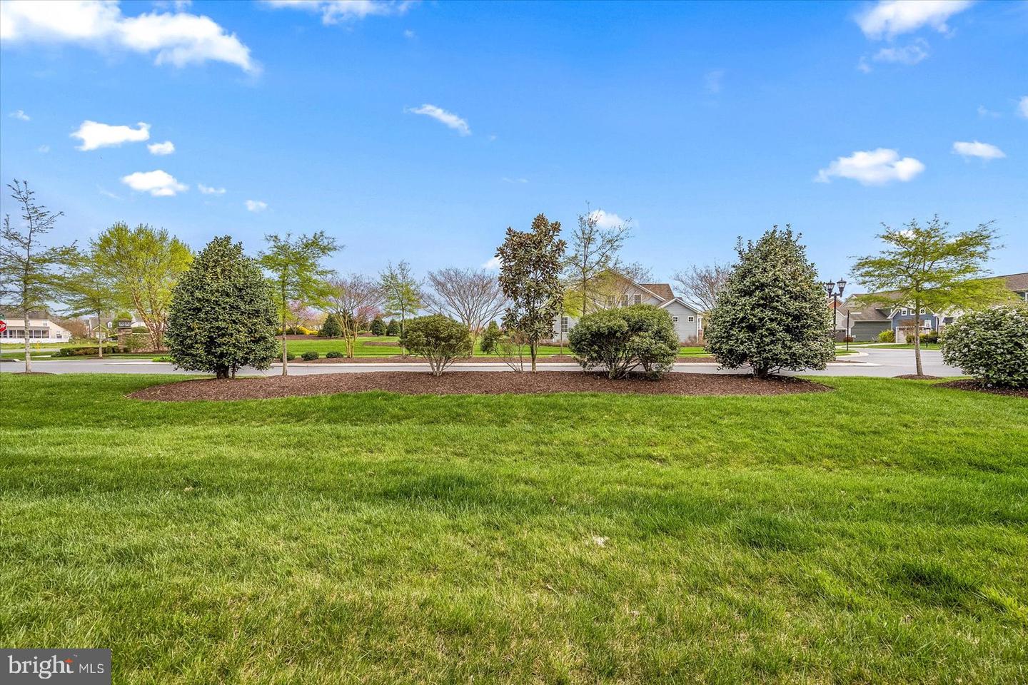 33333 Lone Cedar Lndg