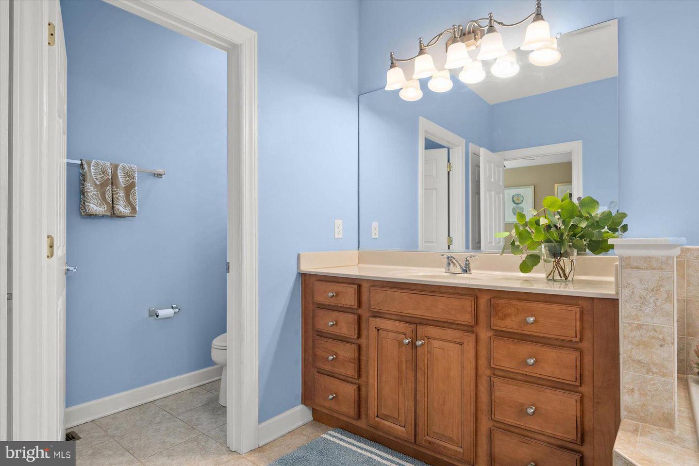 31463 Forsythia Dr
