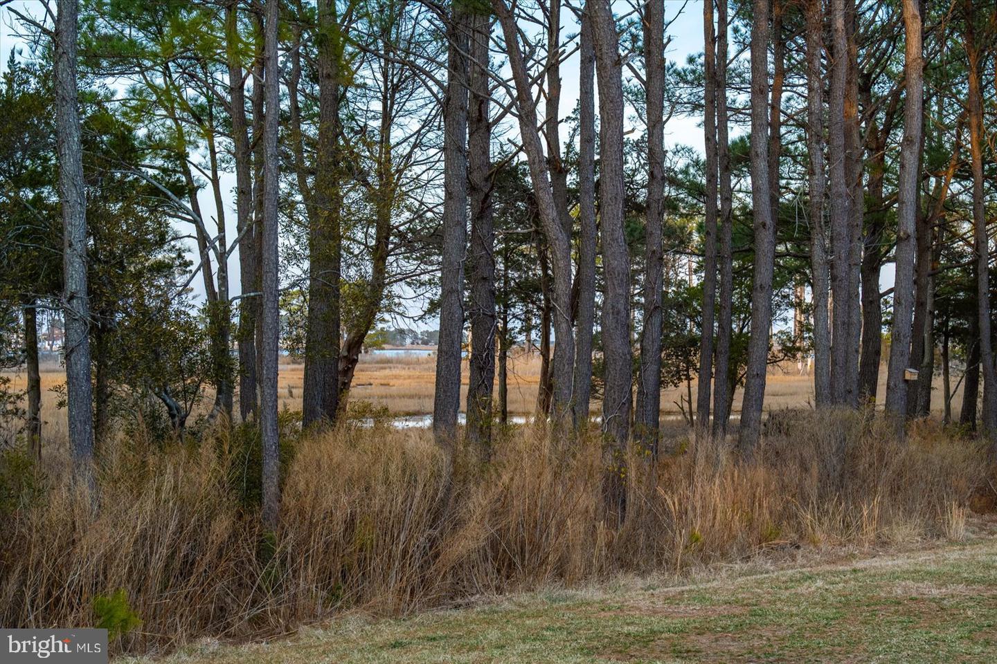 26409 Crosswinds Lndg
