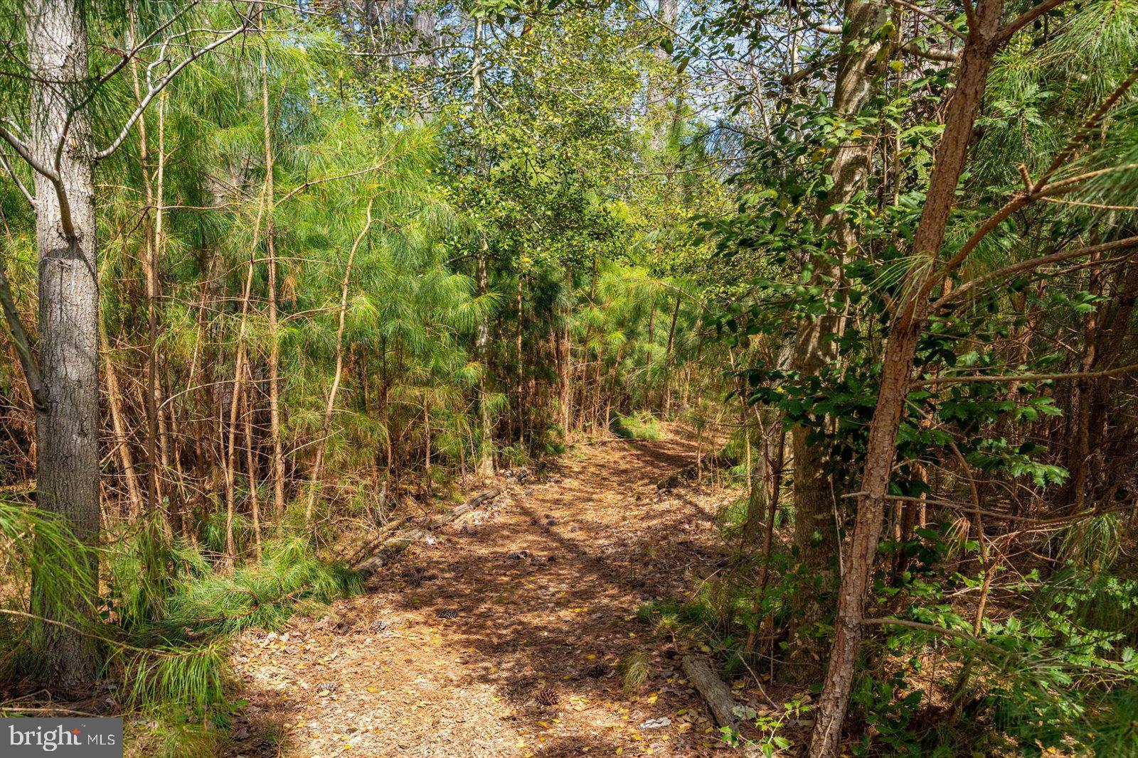 23054 BUTTERFLY COURT