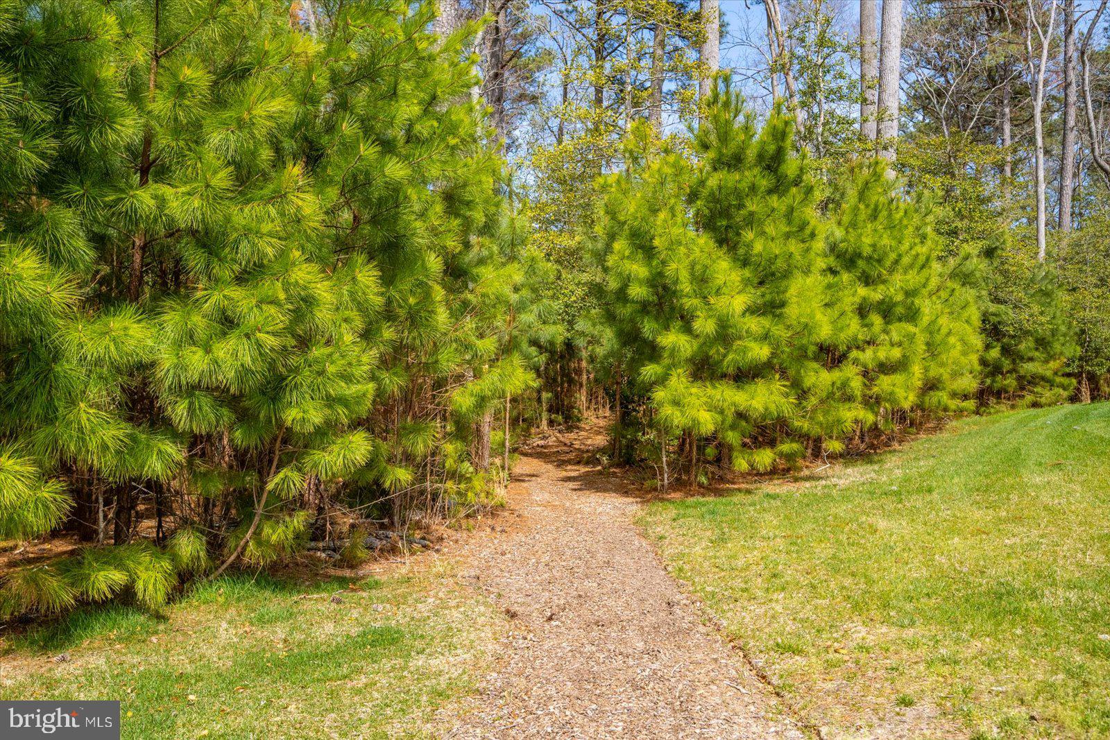 23054 BUTTERFLY COURT