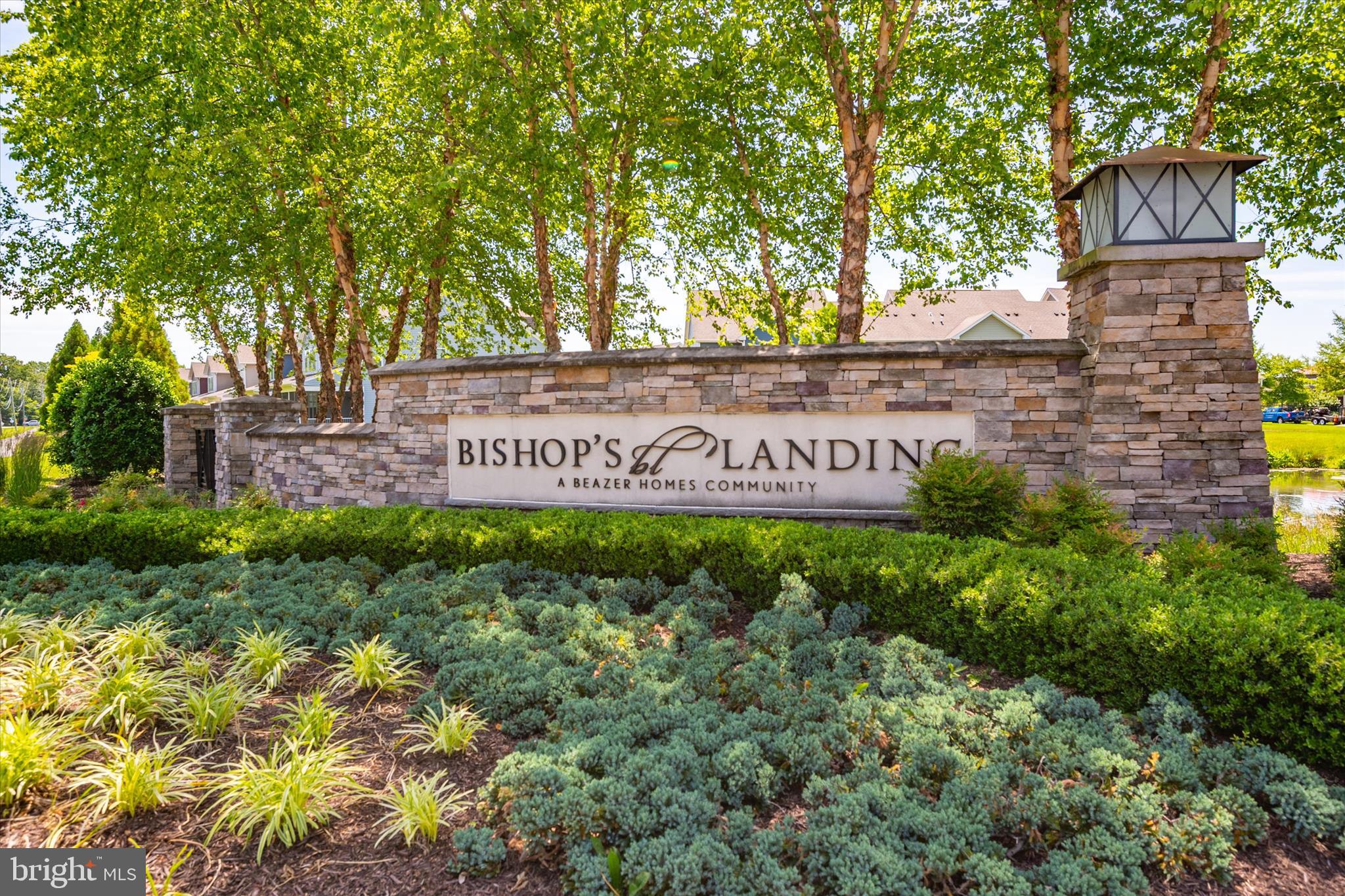 33281 LONE CEDAR LANDING
