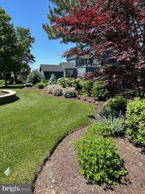 29390 SPY GLASS LANE