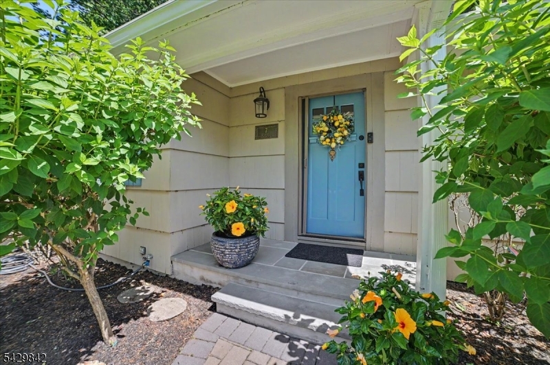 7 Molly Stark Dr
