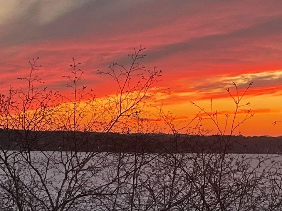 3100 Lake Mendota Drive Unit: 504