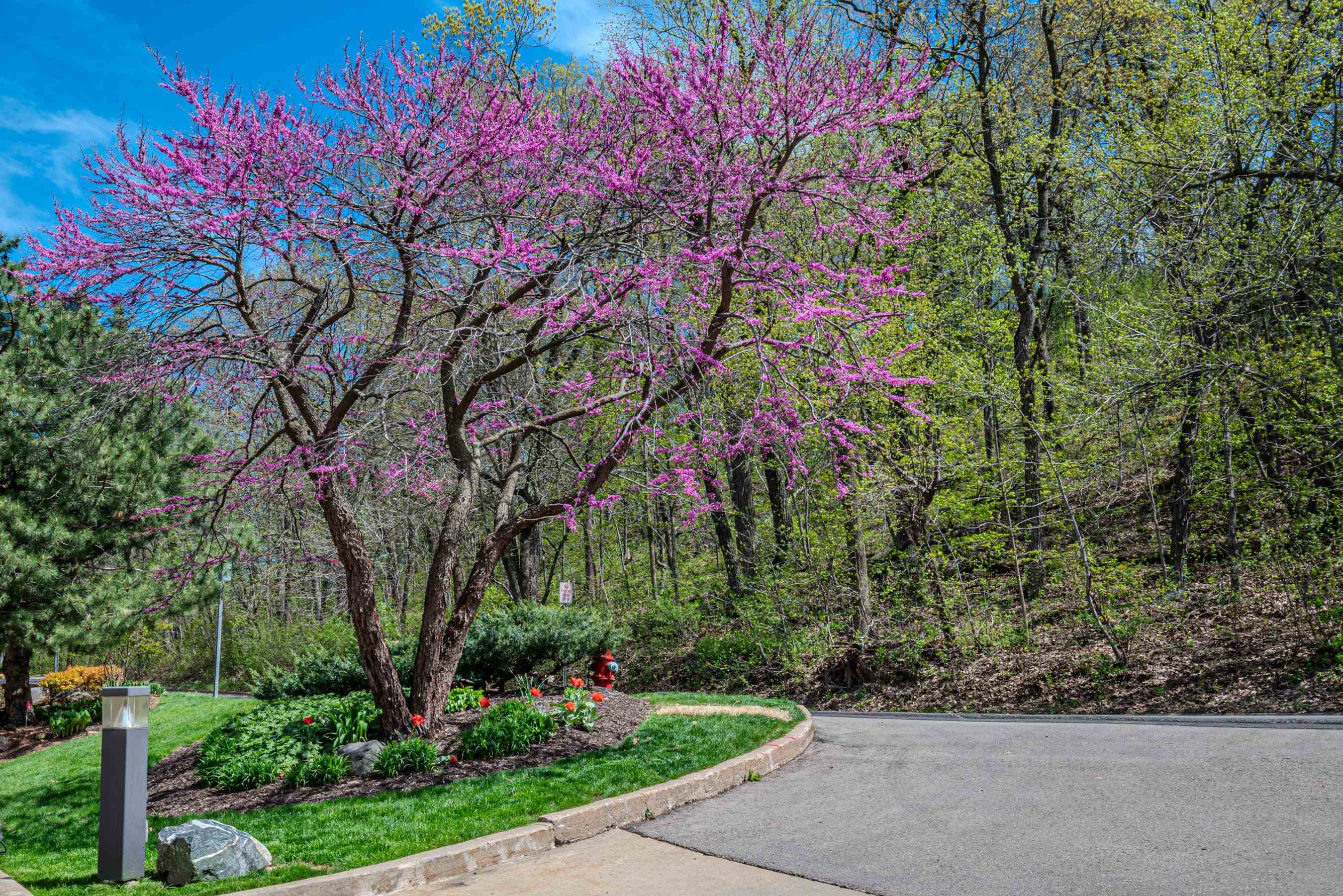 3100 Lake Mendota Drive Unit: 504