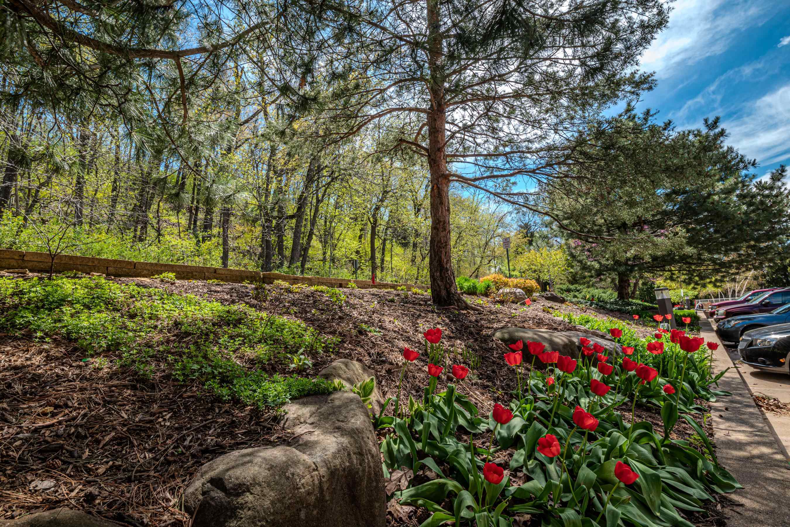 3100 Lake Mendota Drive Unit: 504