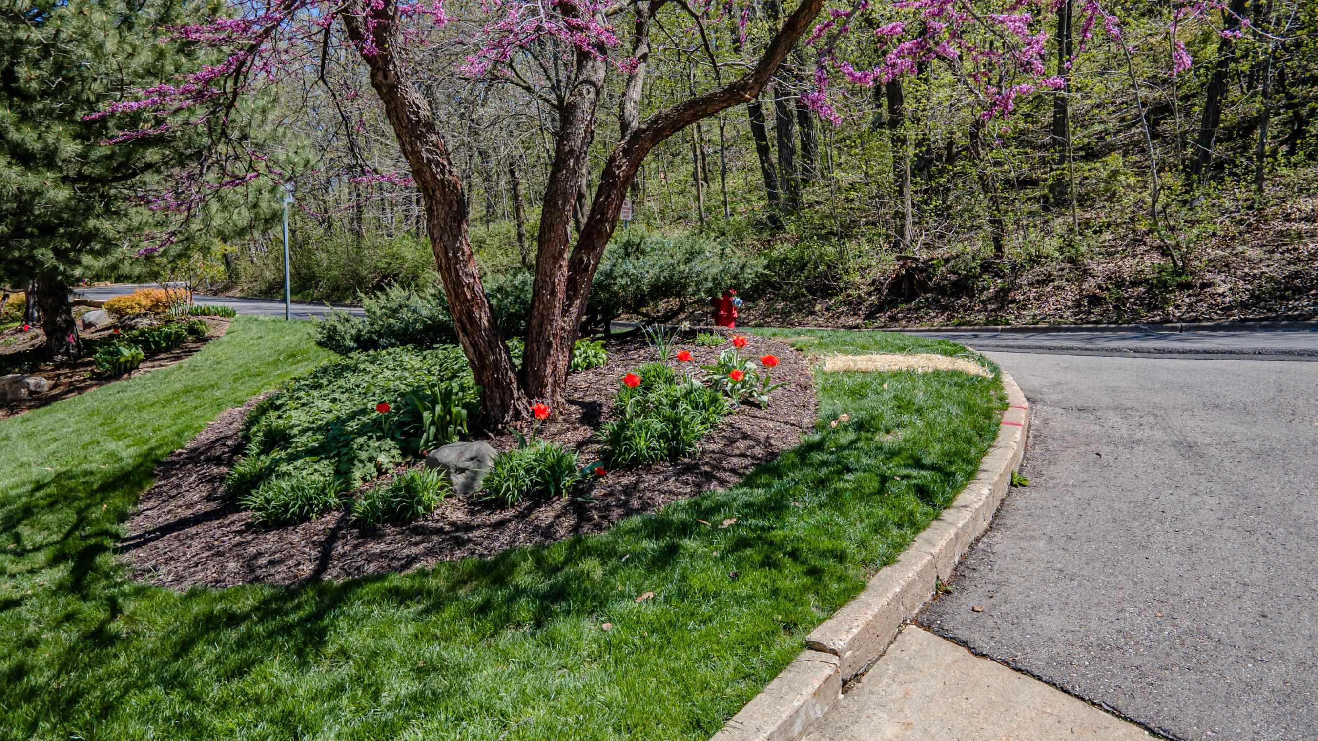 3100 Lake Mendota Drive Unit: 504