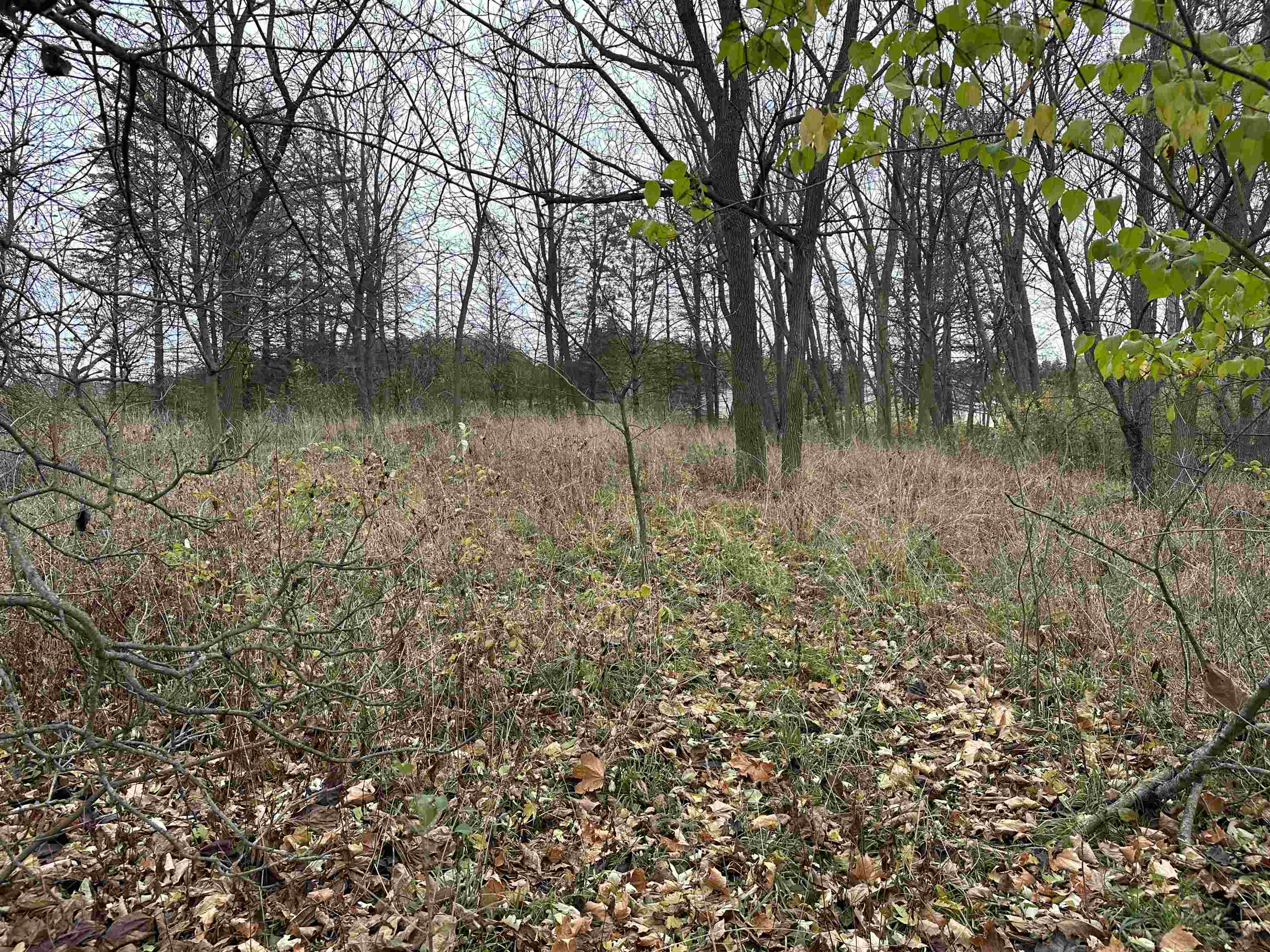 LOT 1 CSM 13252 Ben Franklin Street