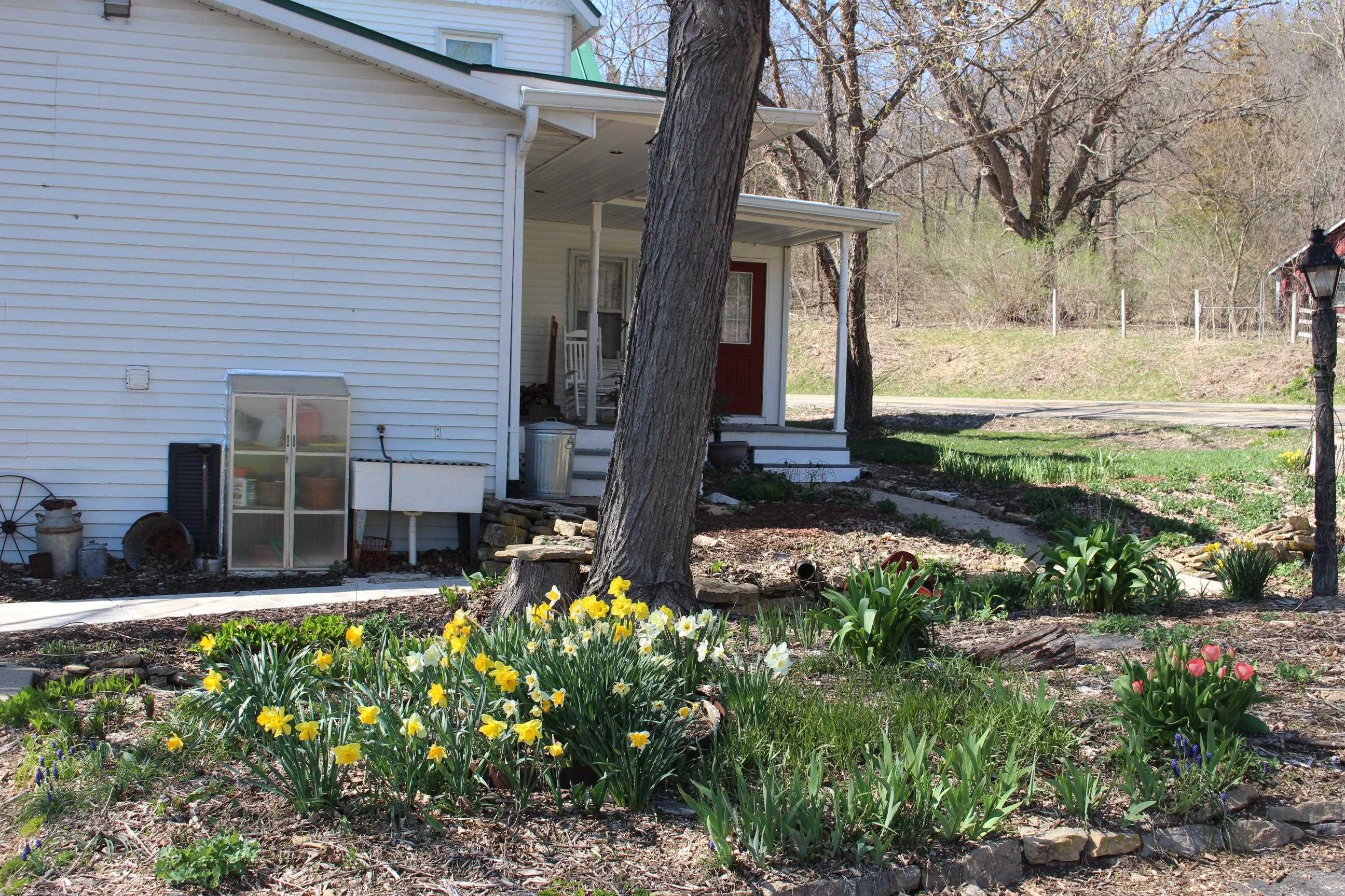 3223 County Road JG