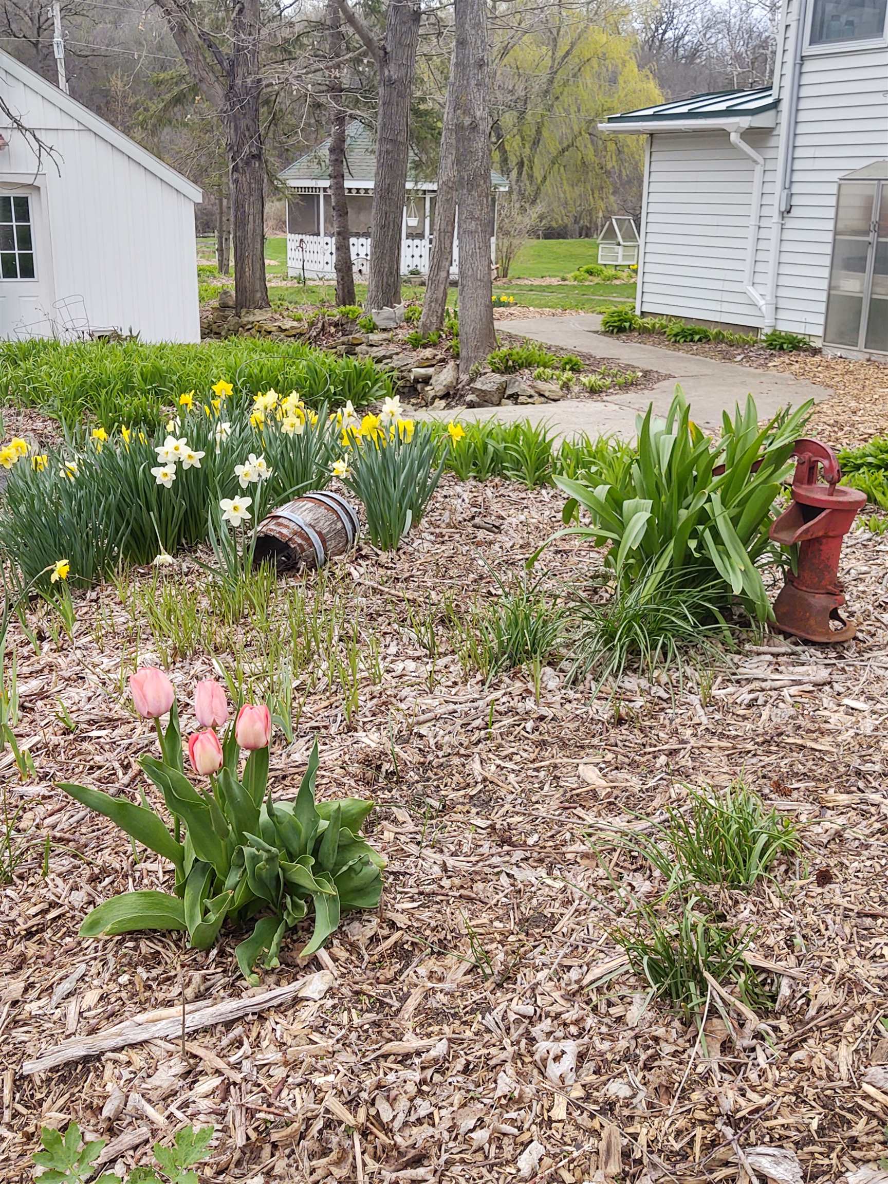 3223 County Road JG