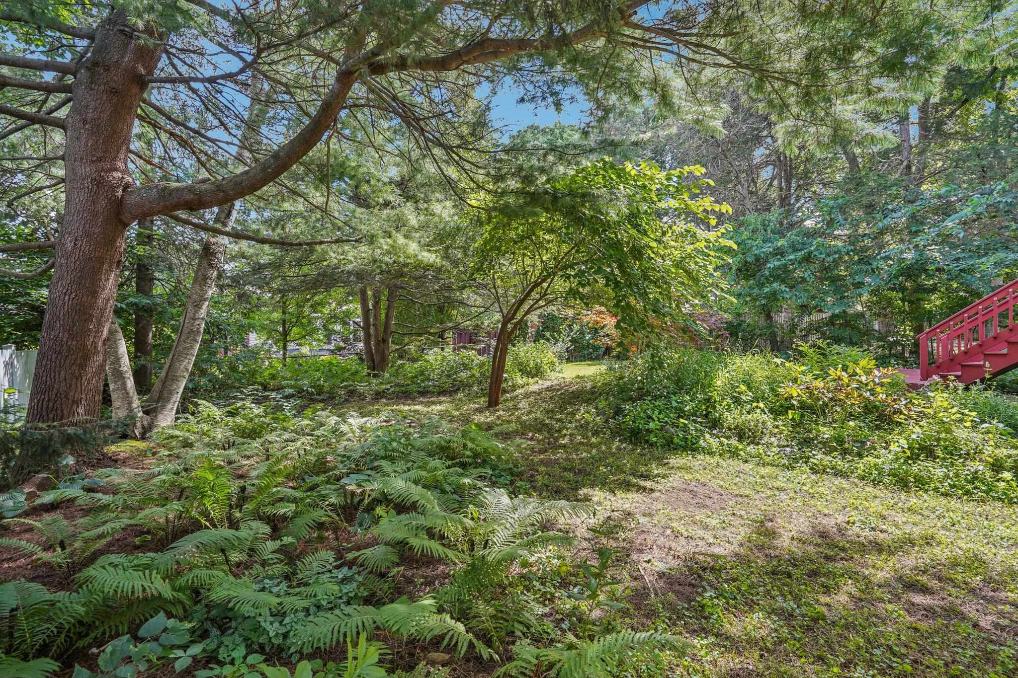479 Agnes Drive