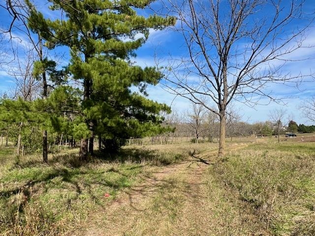 Lot 9 Highway 39