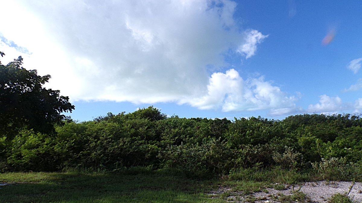3.49 Acres BUCKLEY'S