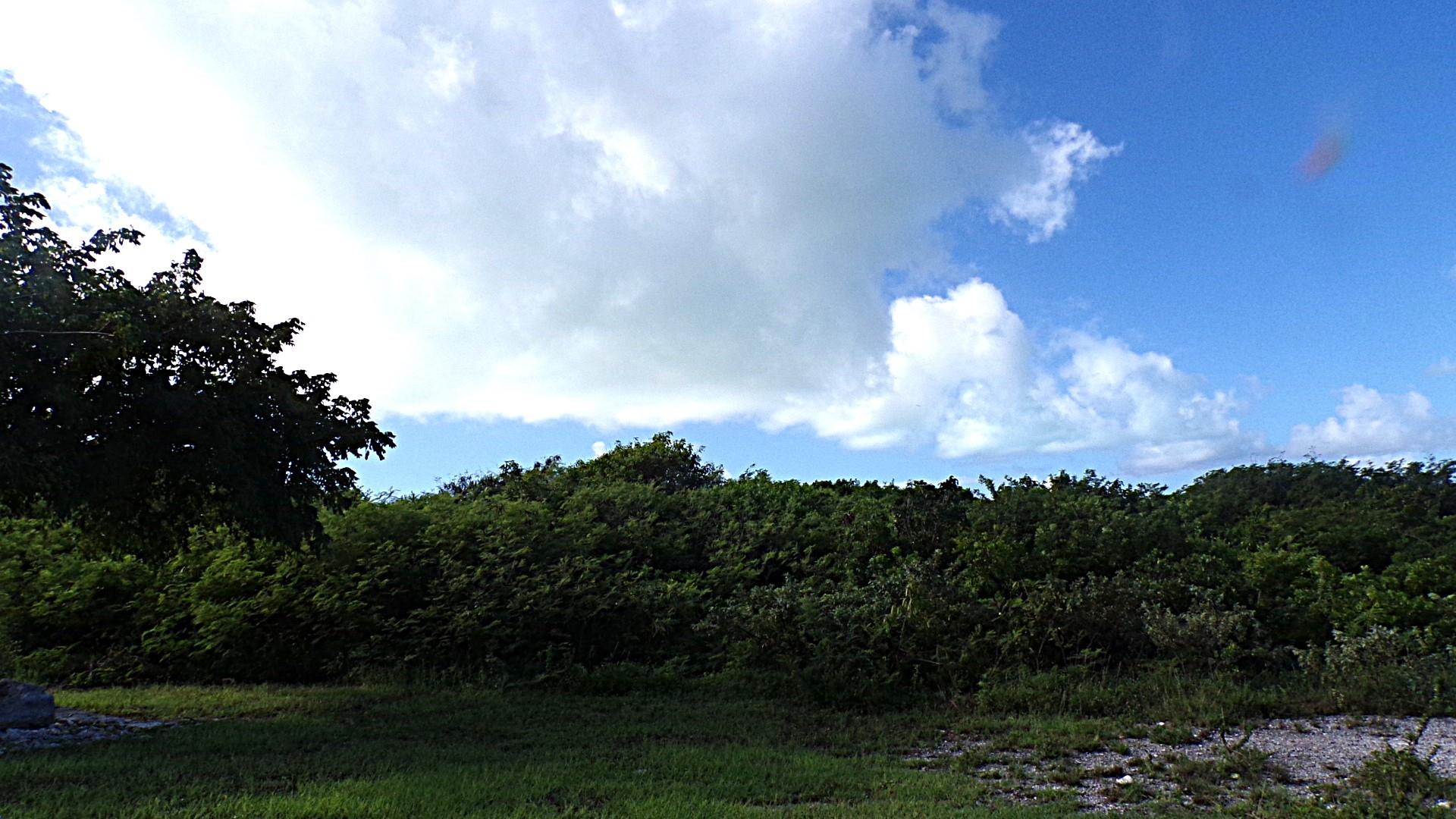 3.49 Acres BUCKLEY'S