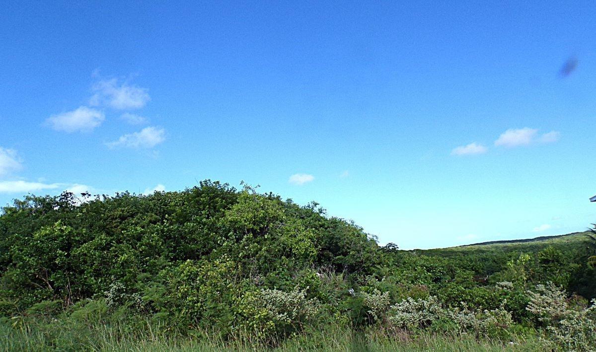 3.49 Acres BUCKLEY'S