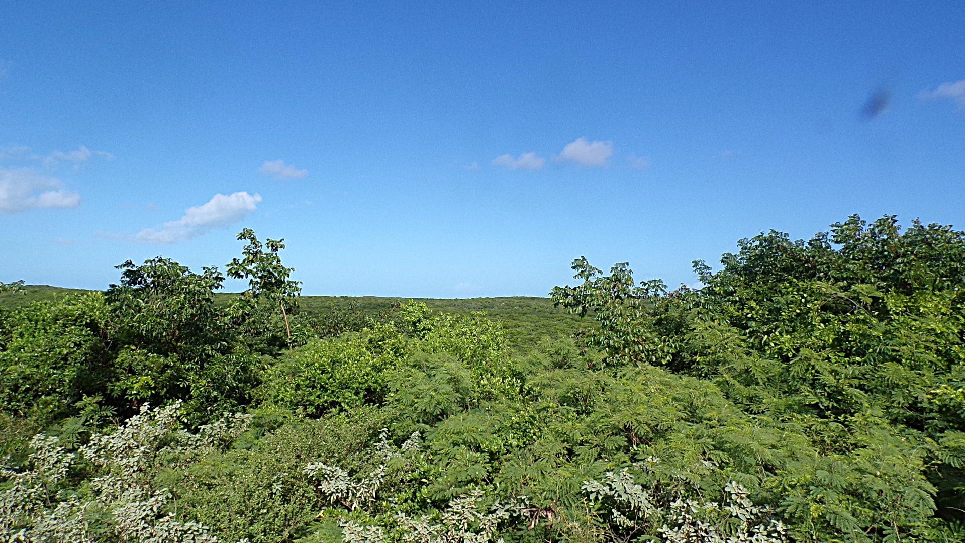 3.49 Acres BUCKLEY'S