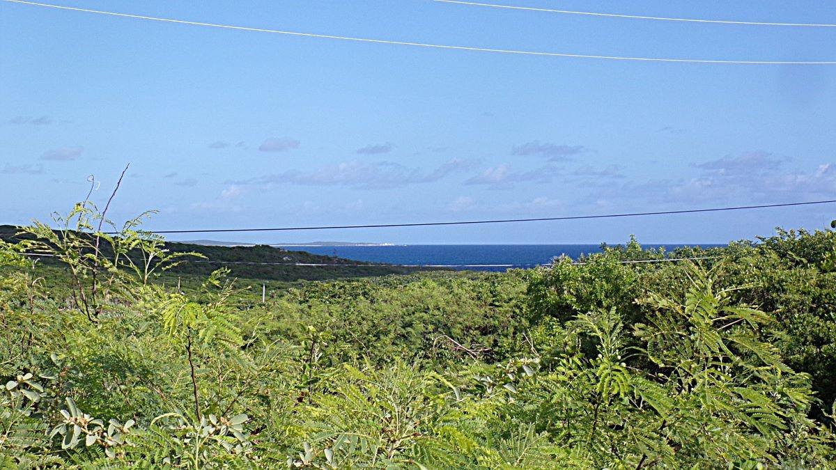 3.49 Acres BUCKLEY'S