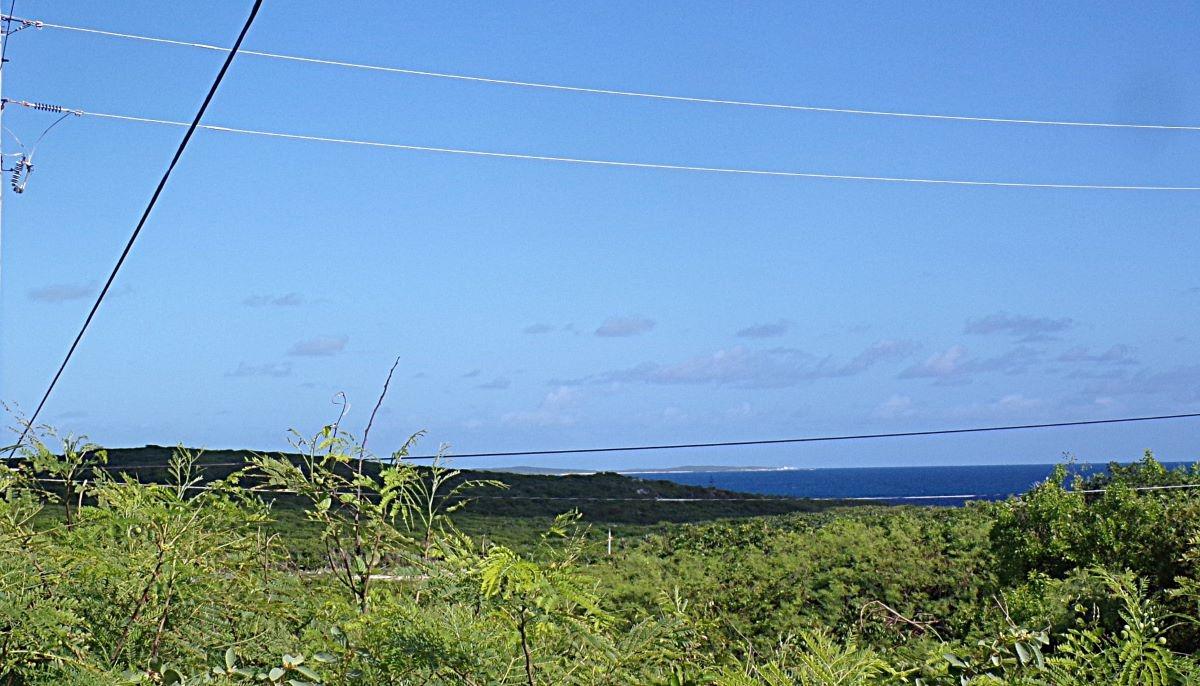 3.49 Acres BUCKLEY'S
