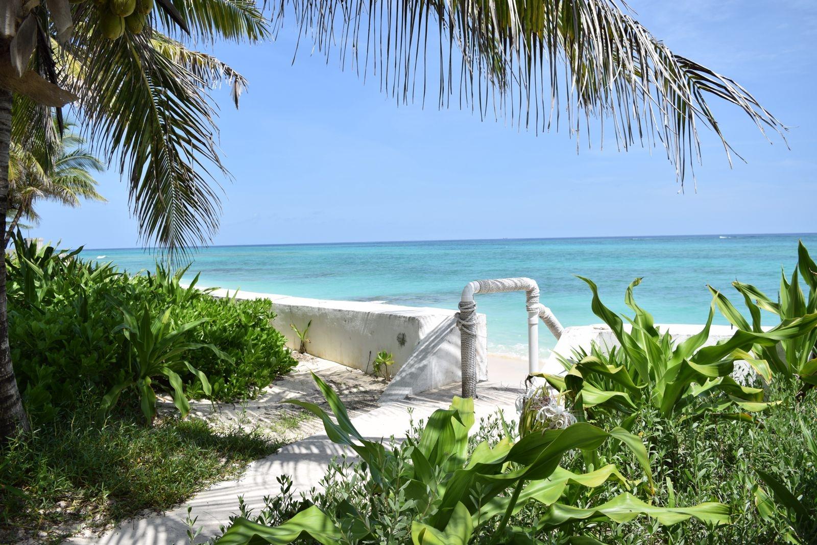 PALMS OF LOVE BEACH Unit: 4C