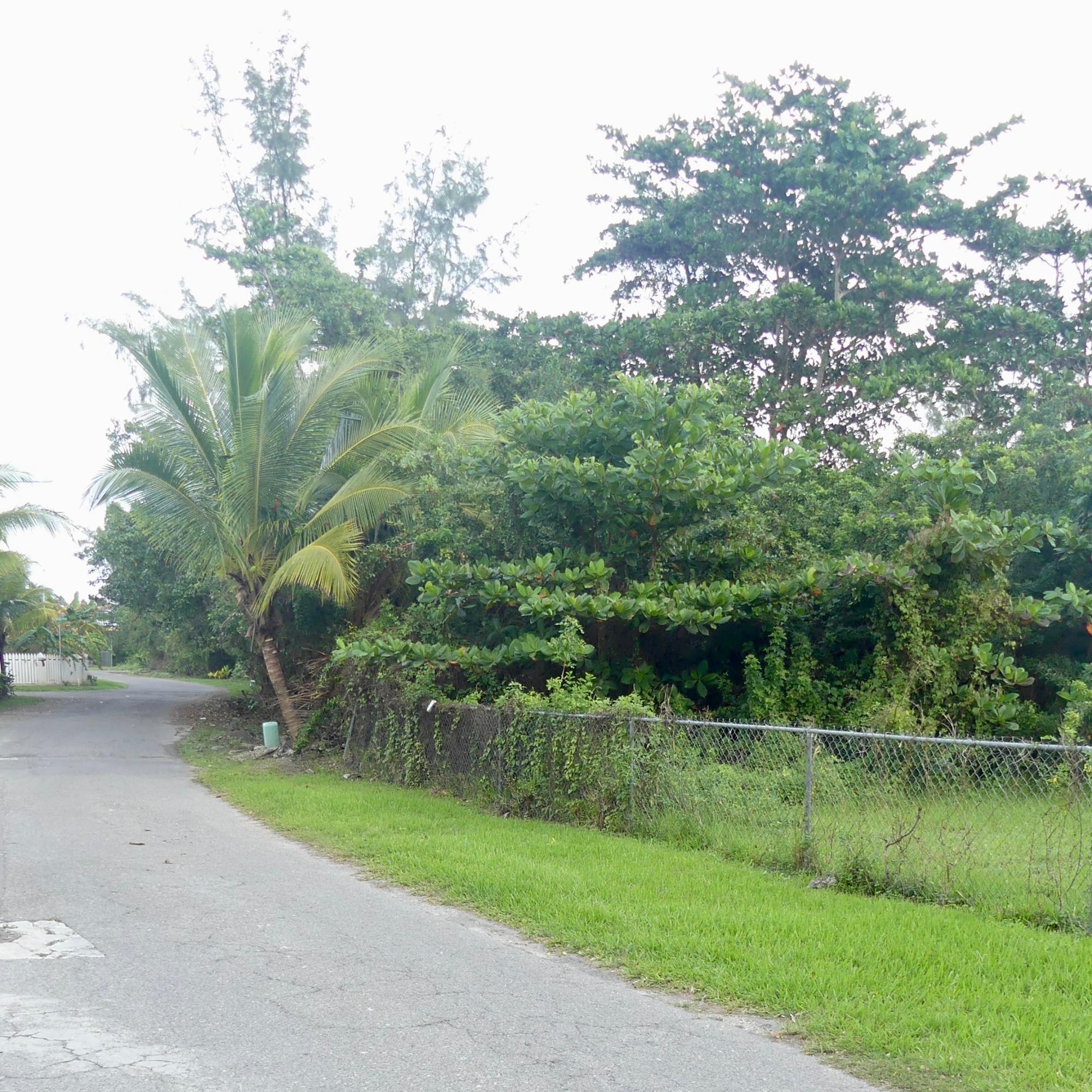 VISTA MARINA, THE GROVE Unit: 3