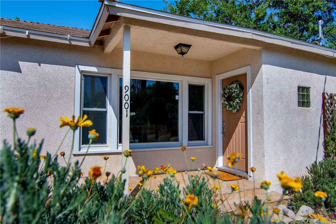 9001 Hillrose Street