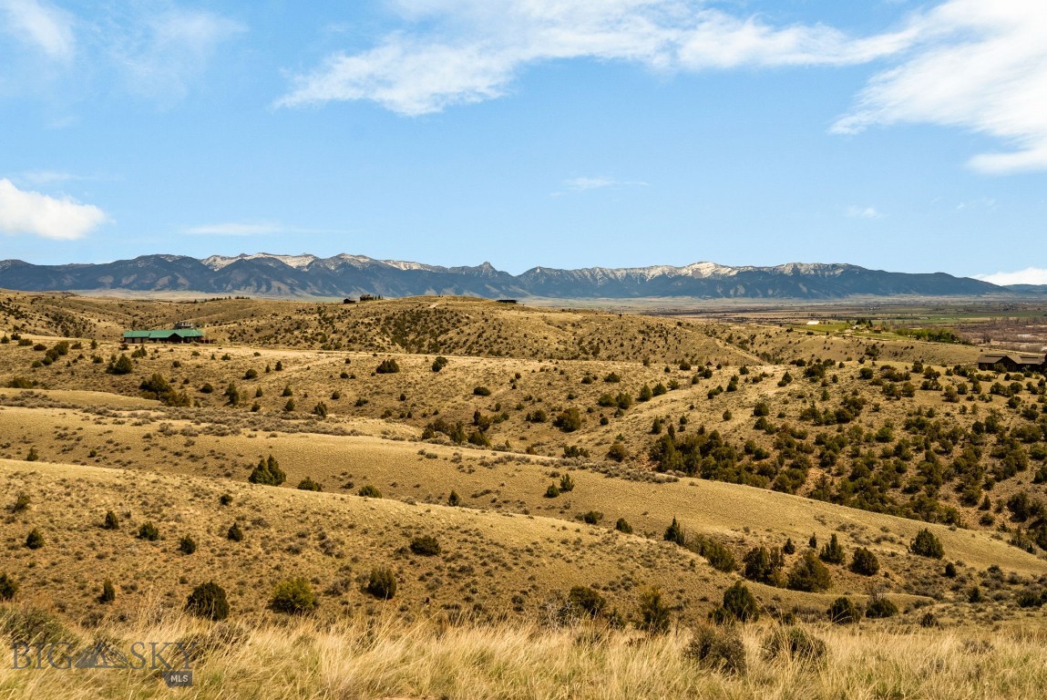 100 Saddle Ridge