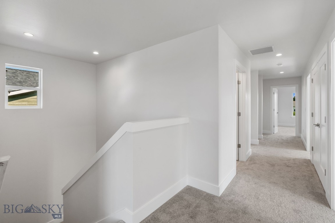 805 Spaniel Lane