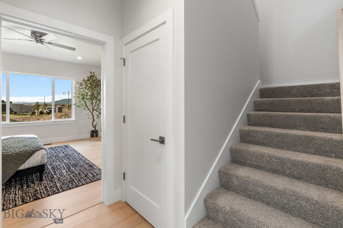 805 Spaniel Lane