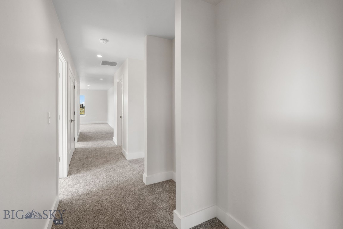 805 Spaniel Lane