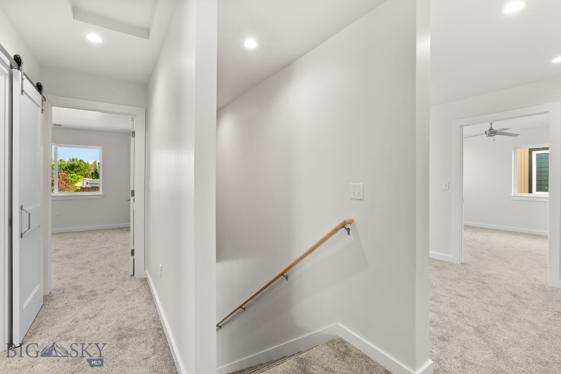 811 Spaniel Lane