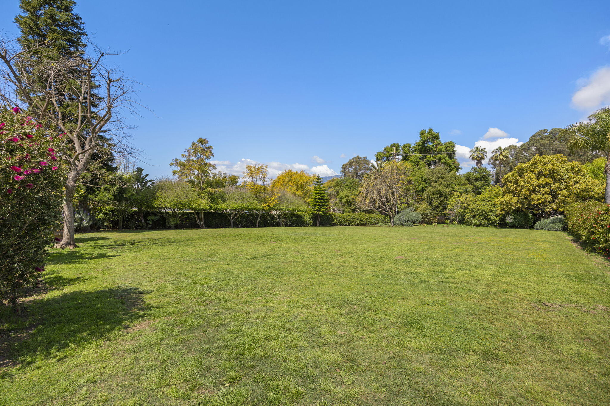 142 Hemlock Lane