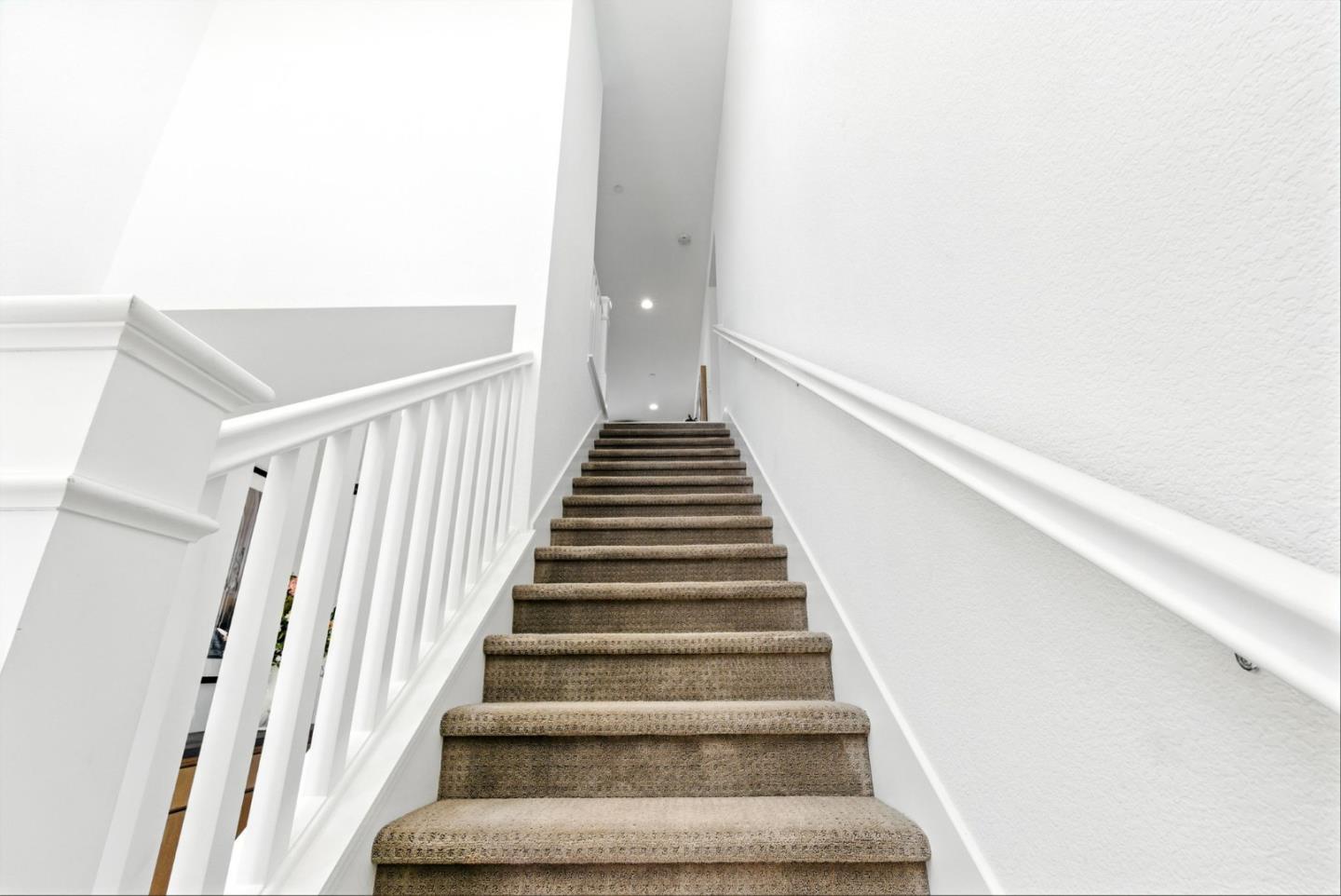 467 Halcyon Place