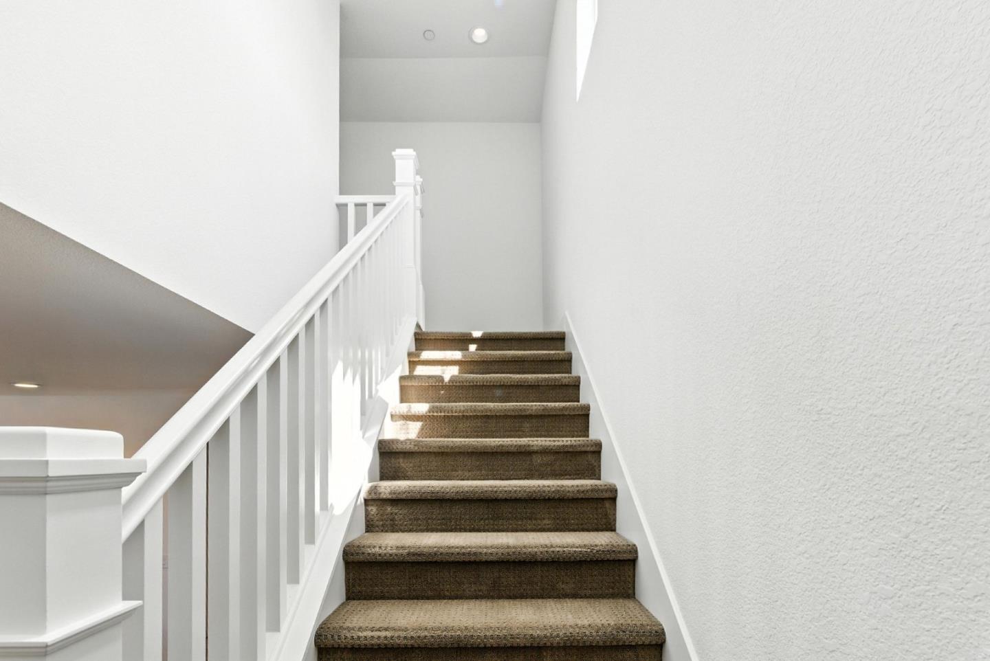 467 Halcyon Place