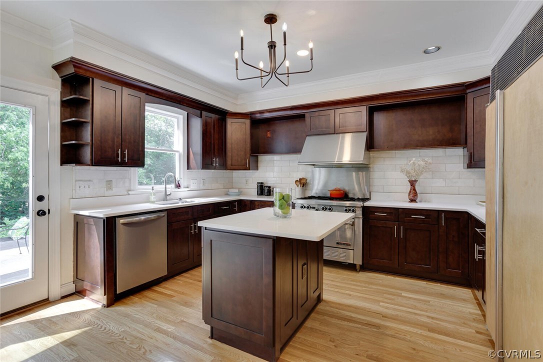 Kitchen with dark wood cabinetry, a large island, stainless steel appliances, and light hardwood floors.