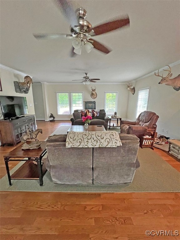 132 Forest View Rd