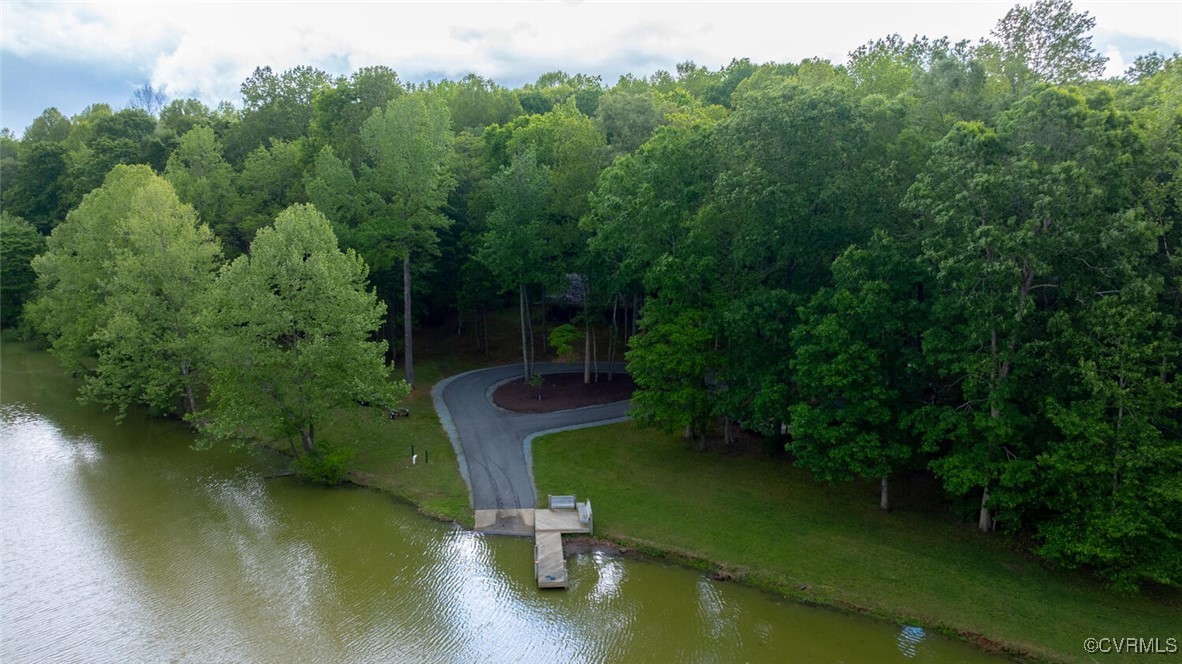 Wooded waterfront property with a curved driveway and a small dock along the shoreline.