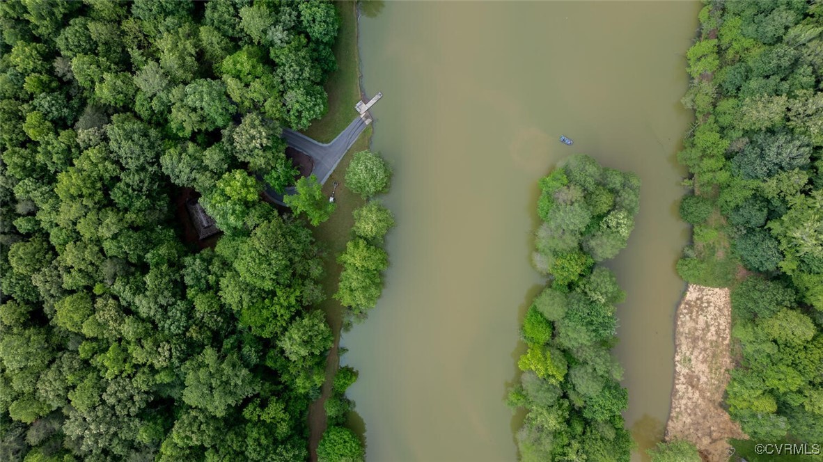 Aerial view of a wooded waterfront property with a small dock and tree-covered strip in the water.