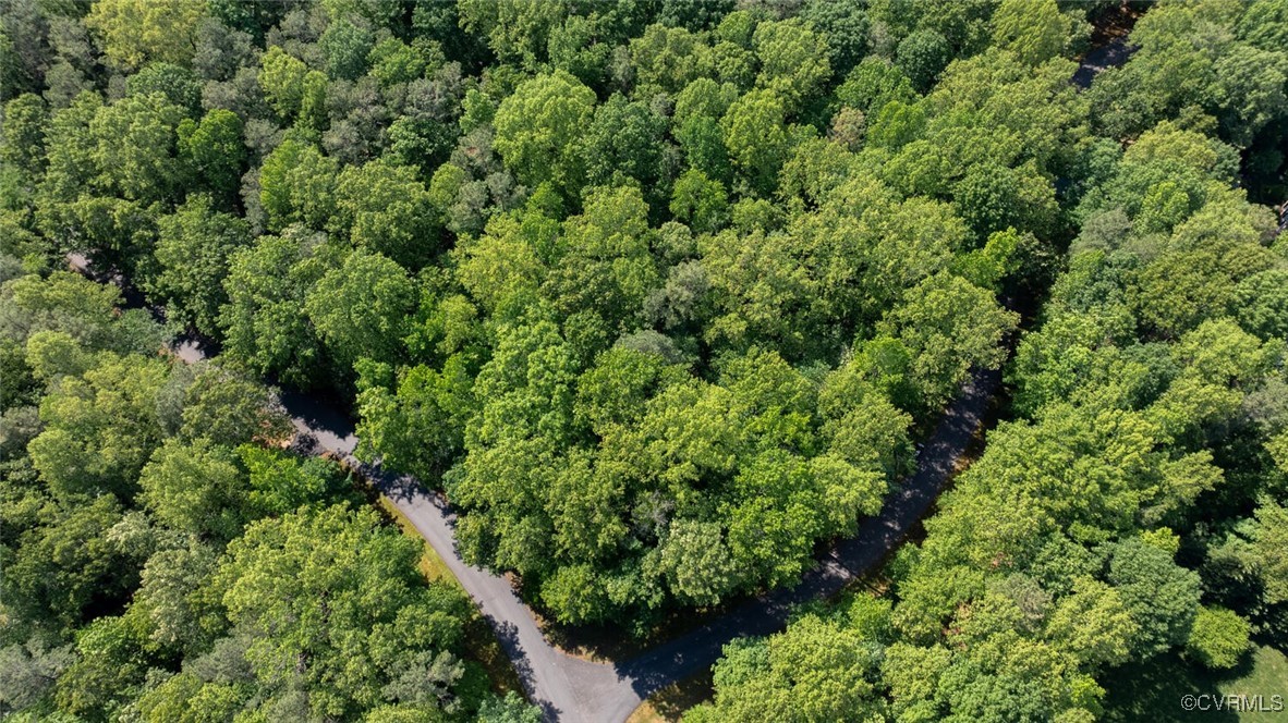 Aerial view of dense green woodland crossed by winding paved roads.